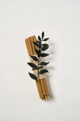 Palo Santo Incense