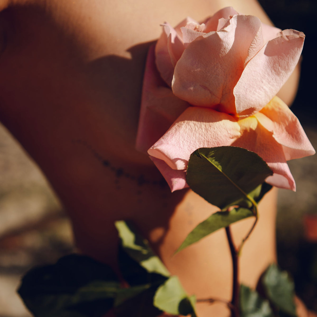 Begin with rose